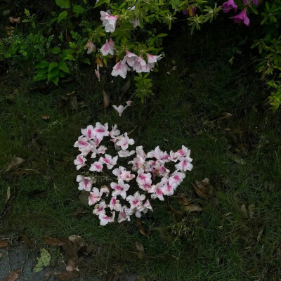 图源ks：偷喝汽水