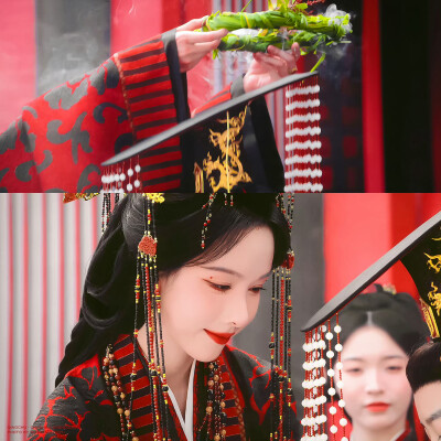 陈都灵 · 楚朝 翘楚