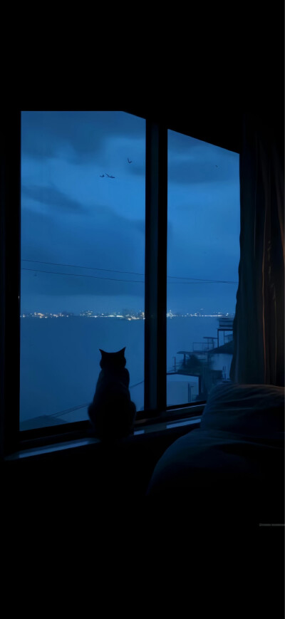 壁纸