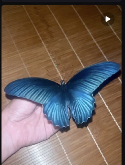 。