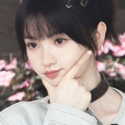 这世界也有猪在忙忙碌碌寻宝藏