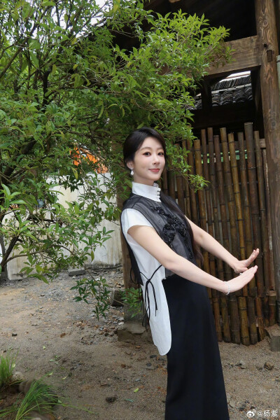 杨紫