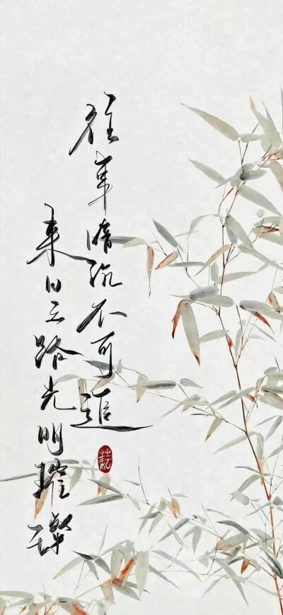 文字壁纸
