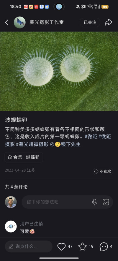 。