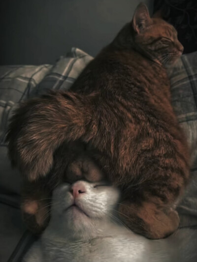 ～