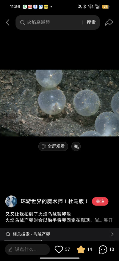 。