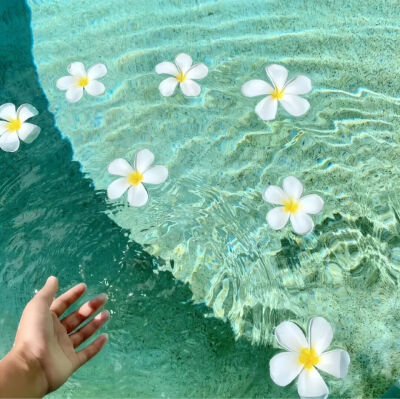 背景图