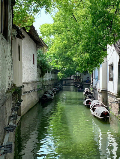 “清明雨霁春不晚，柔撸四月下江南。 ” ​​​