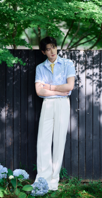杨洋