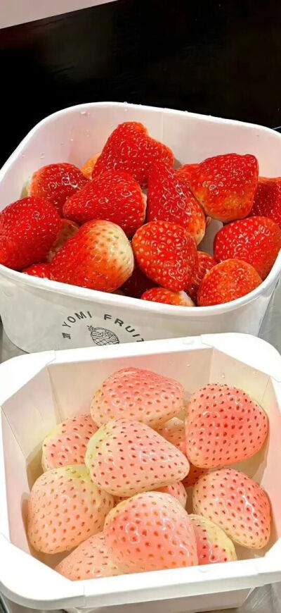 红色壁纸