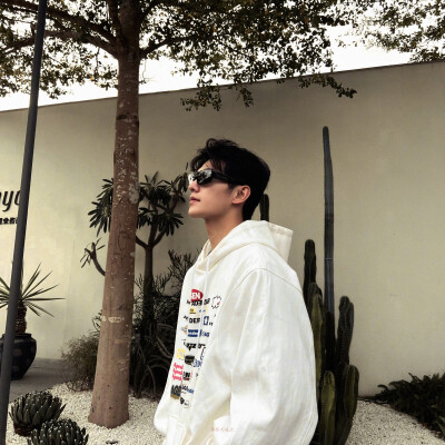 杨洋