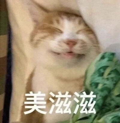 猫猫表情包