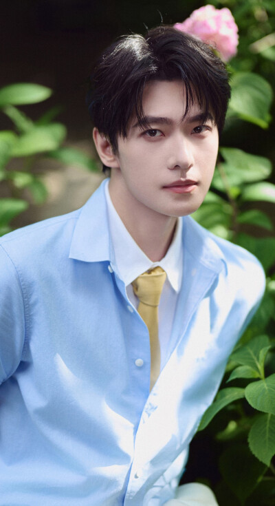 杨洋