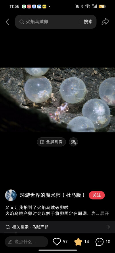 。
