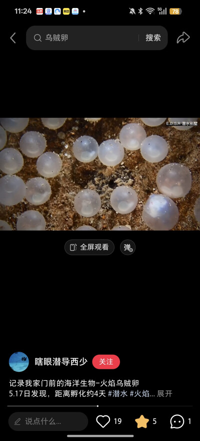 。