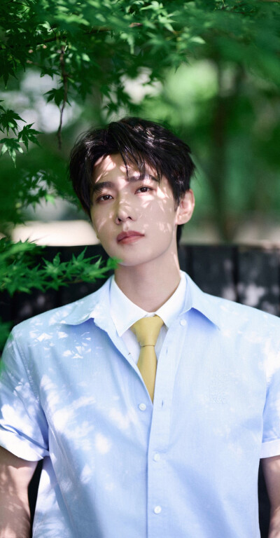 杨洋