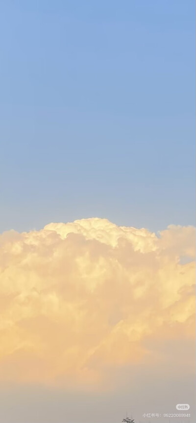 v c