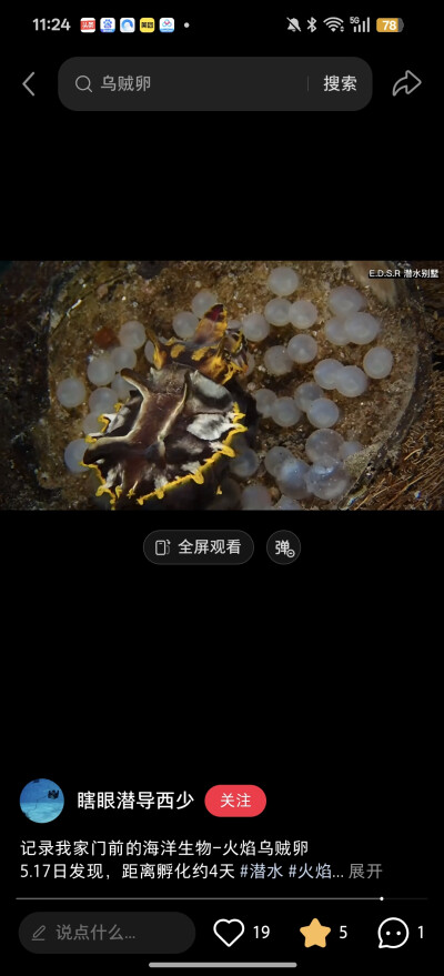 。