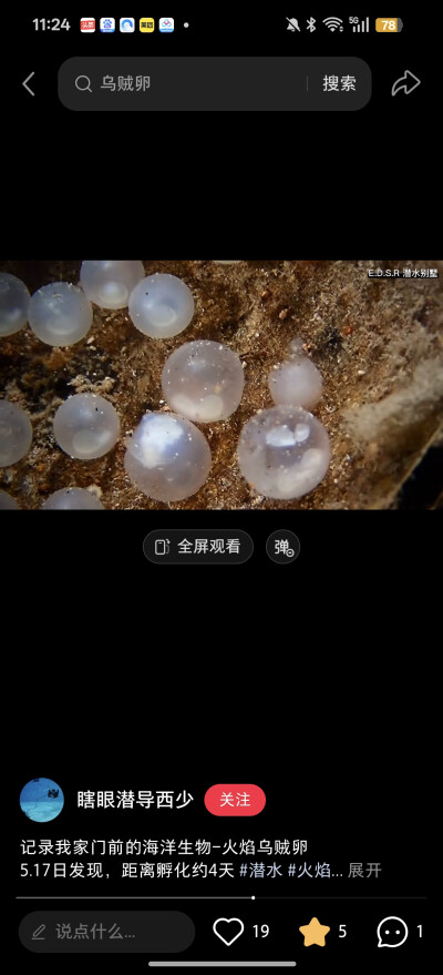 。