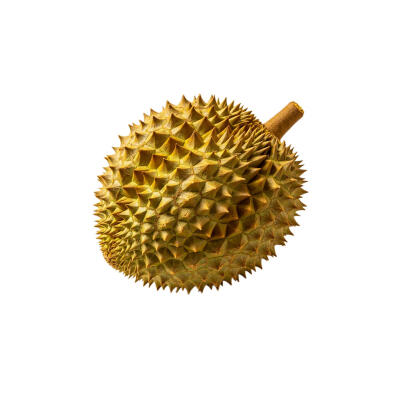 水果白底头像