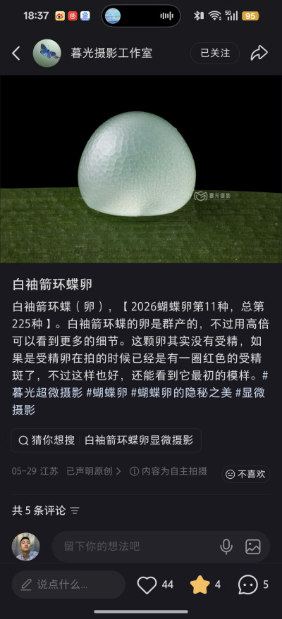 。