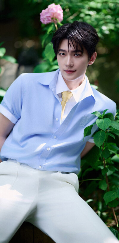 杨洋