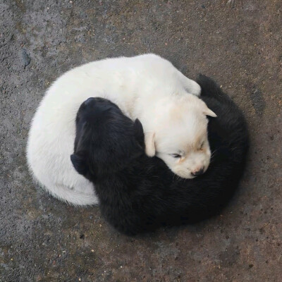 ～