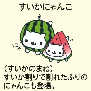 点心猫