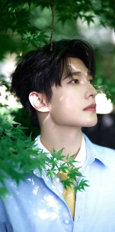 杨洋