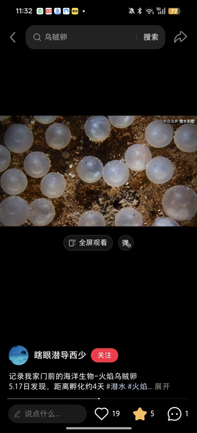 。