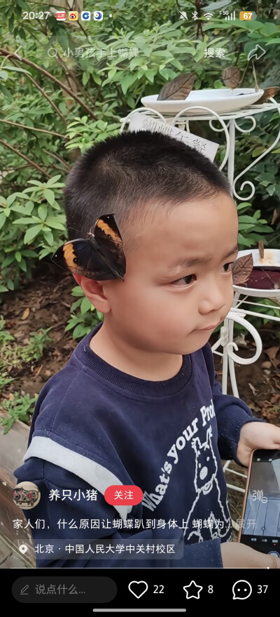 ，。