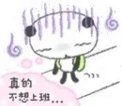 小熊猫！