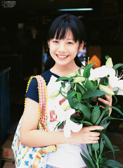 夏帆