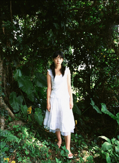 夏帆