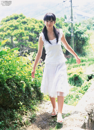 夏帆