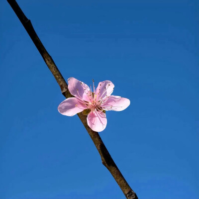 图源ks：偷喝汽水