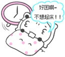 小熊猫！