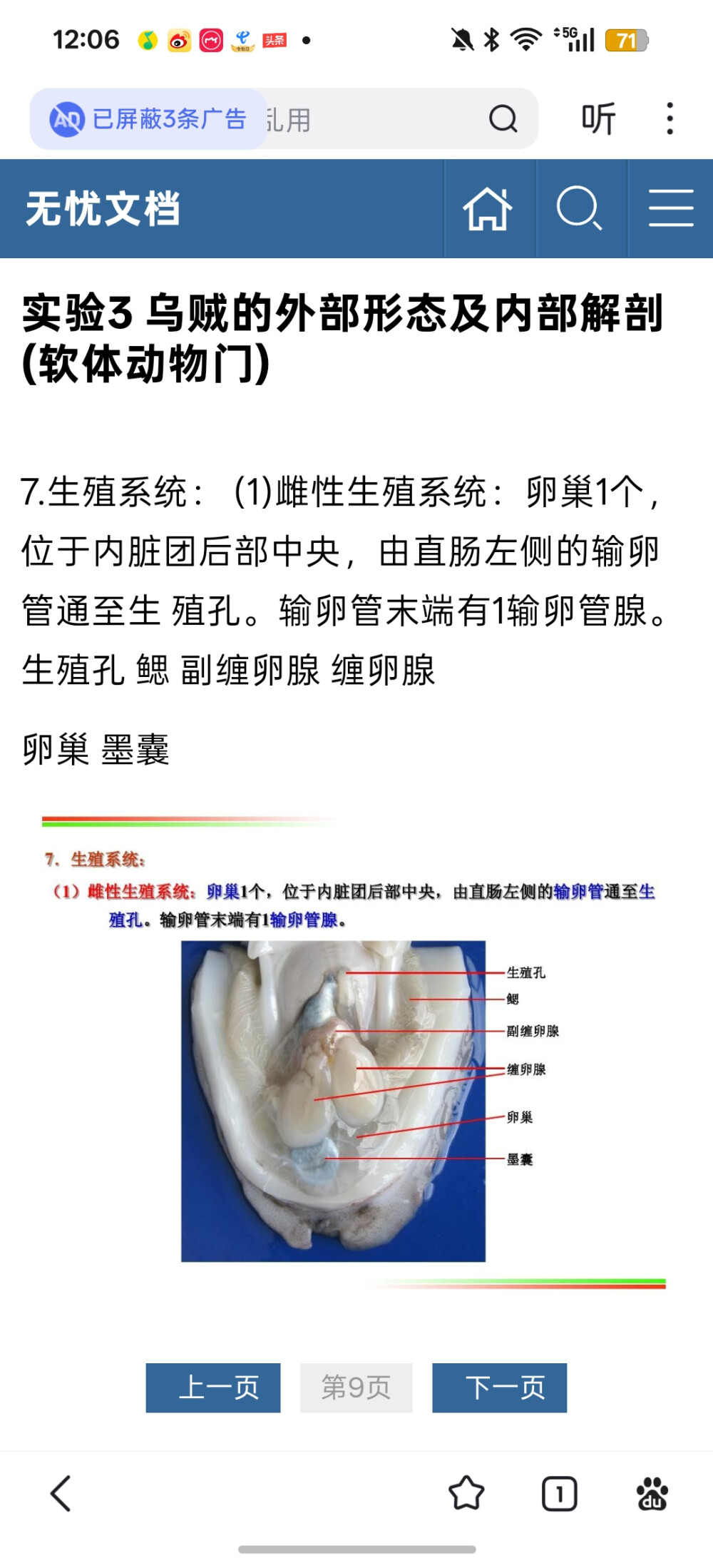 。