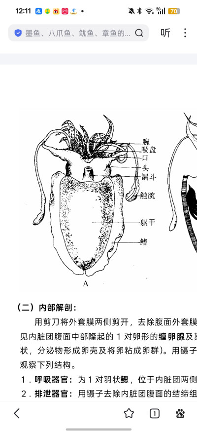 。