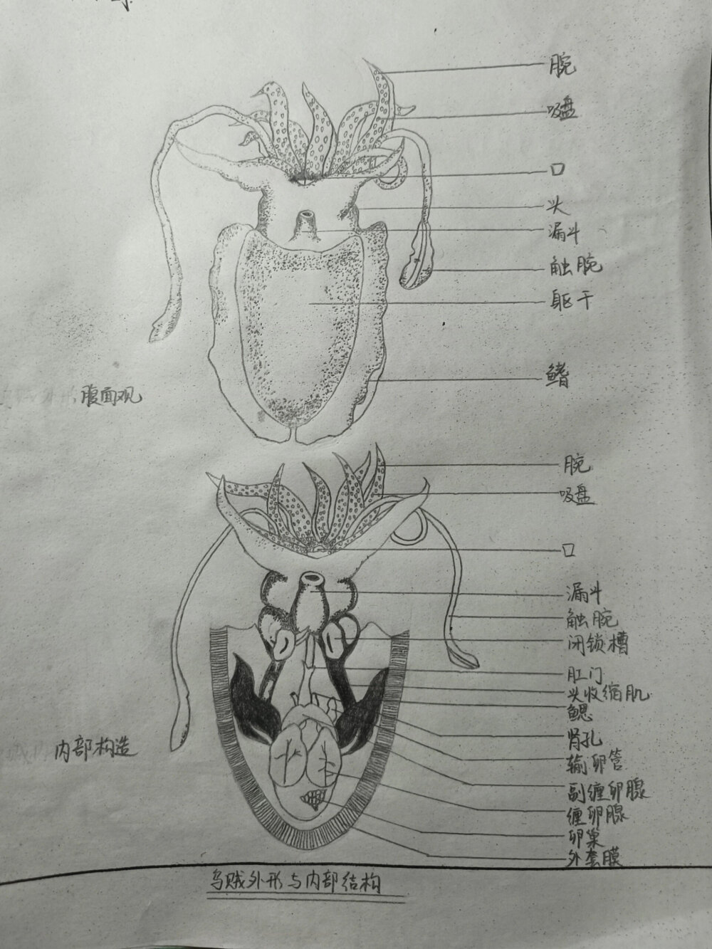 。