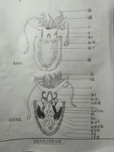 。