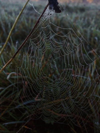 日常
太阳溺死在了那片云里