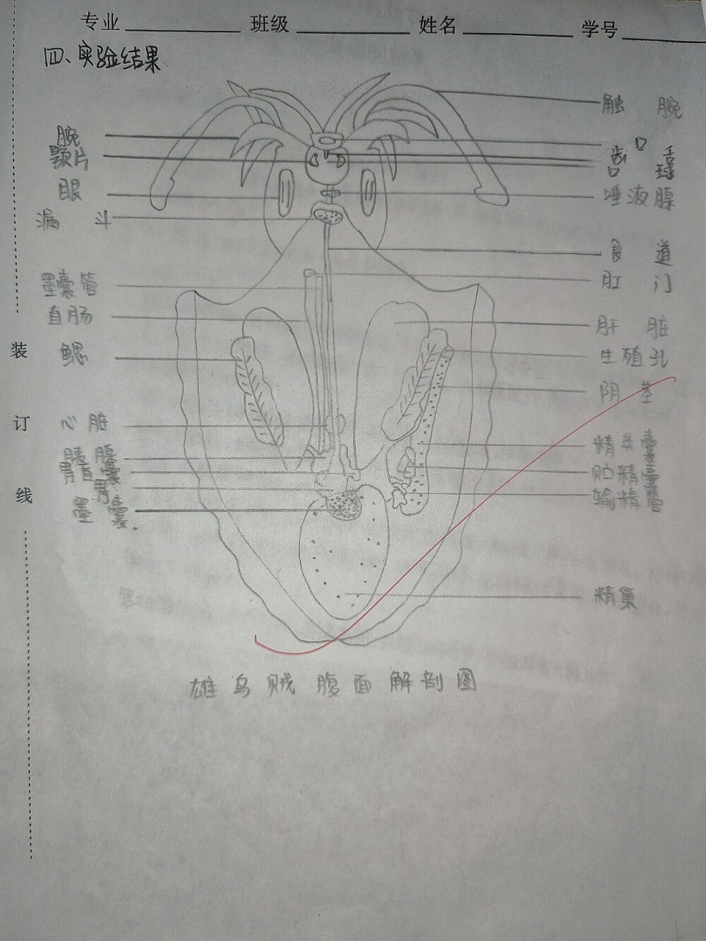 。
