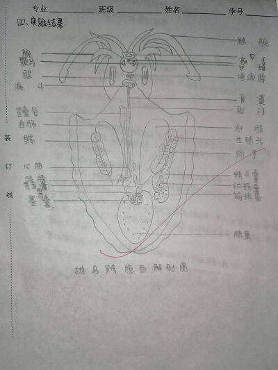。