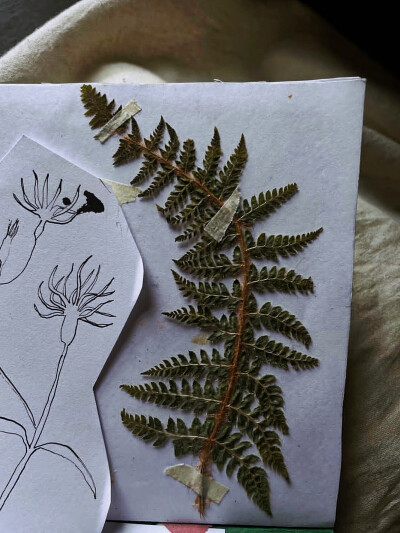 日常
太阳溺死在了那片云里