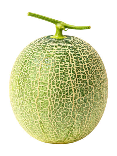 蜜瓜白底头像