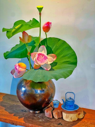 有清甜莲子吃的季节
