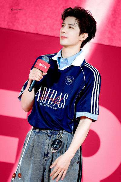 王安宇