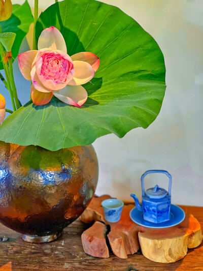 有清甜莲子吃的季节
