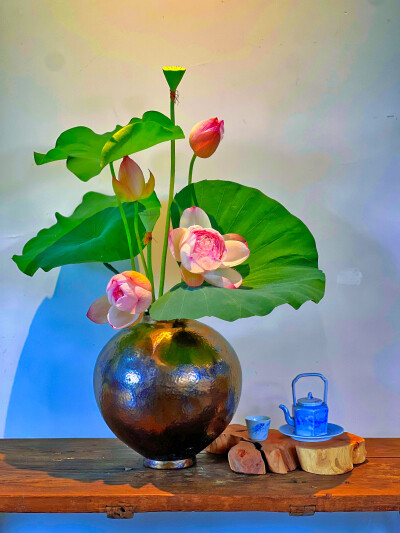 有清甜莲子吃的季节
